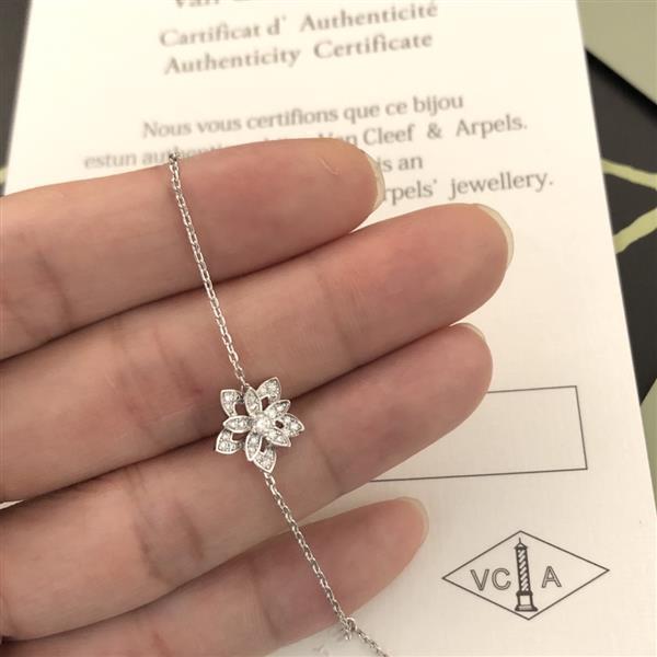 202426145821115 605555